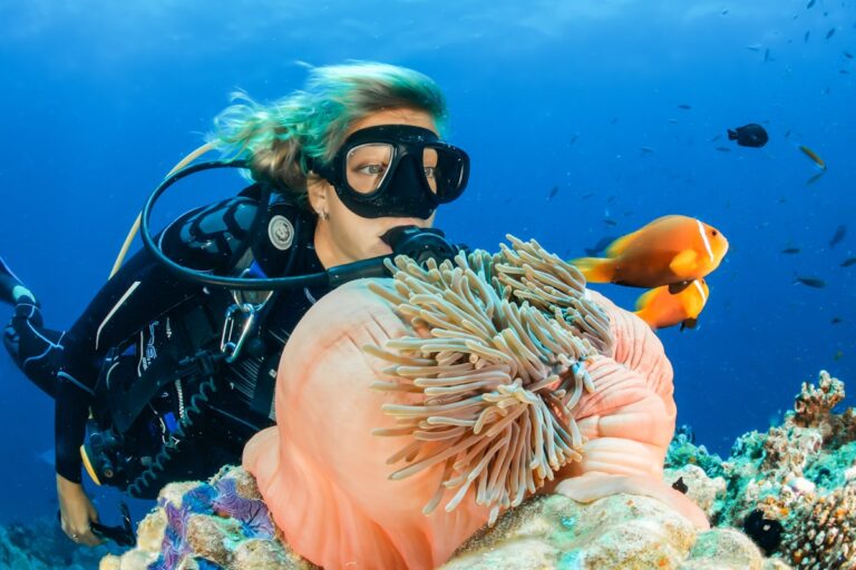 Snorkeling Tour at Blue Lagoon