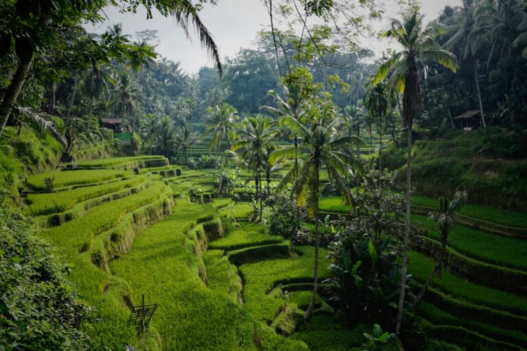 Lempuyang Temple & Tirta Gangga Royal Garden